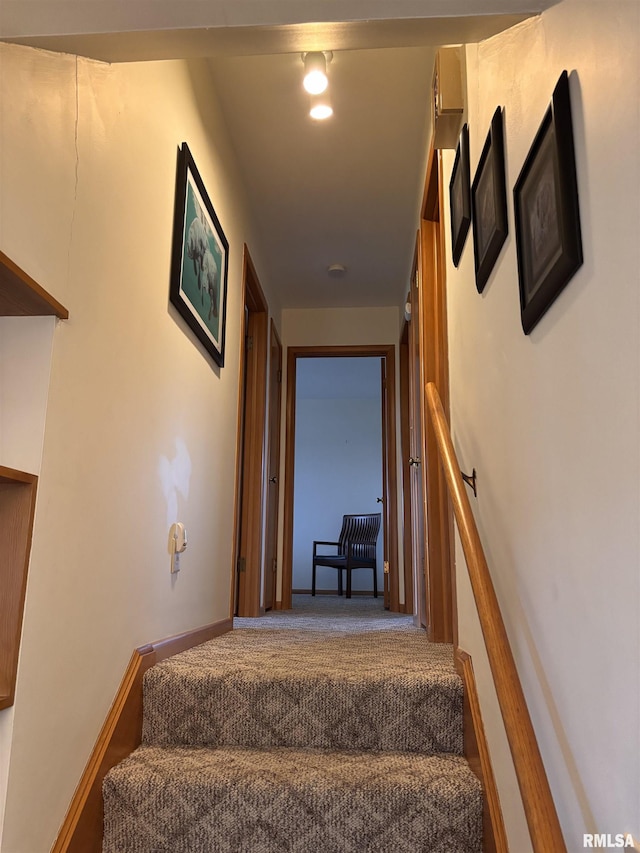 stairway featuring carpet flooring and baseboards