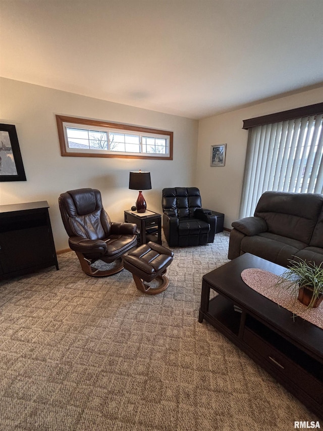 living room featuring carpet flooring