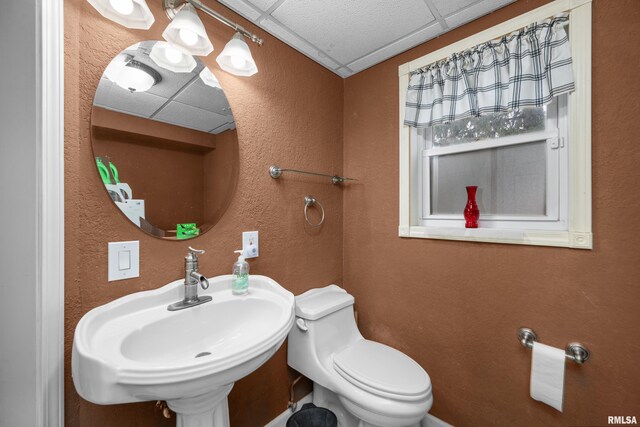 bathroom featuring a textured wall, a paneled ceiling, a sink, and toilet