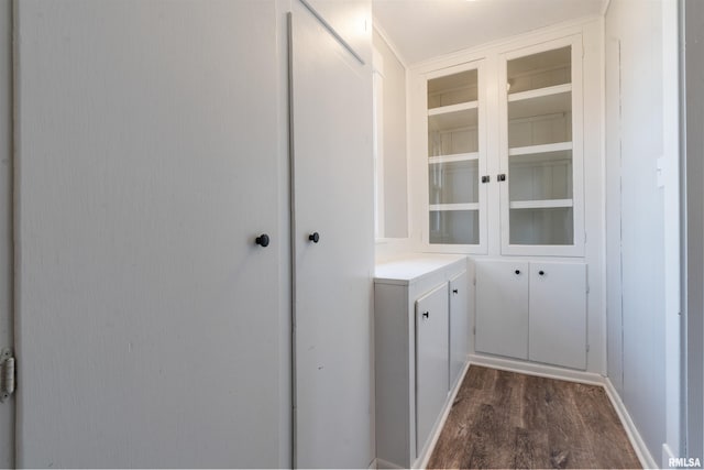 interior space with dark wood finished floors