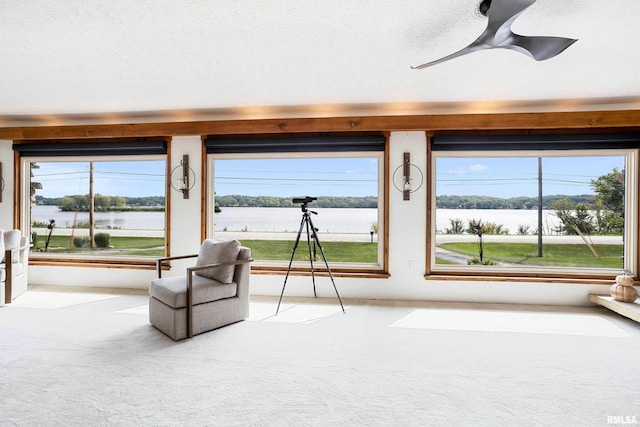 unfurnished room with a ceiling fan, carpet flooring, and a textured ceiling