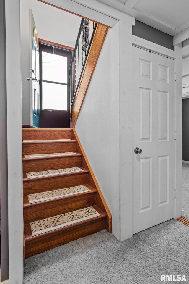 stairs featuring carpet flooring