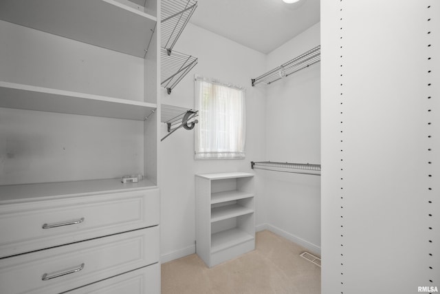 2 S Shore Ln, Rapids City, IL 61278 - walk in closet featuring light carpet