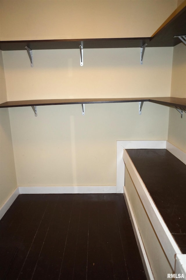 walk in closet featuring dark wood-style floors