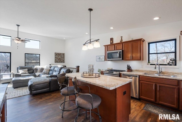 kitchen with appliances with stainless steel finishes, a wealth of natural light, a center island, and a sink