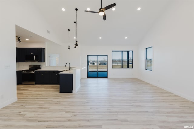 kitchen with dark cabinets, stainless steel appliances, a sink, open floor plan, and light countertops