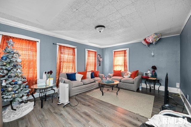 living area with wood finished floors, baseboards, and ornamental molding