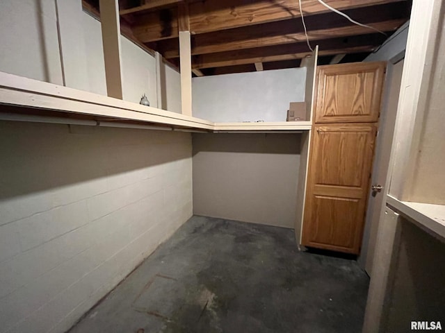 unfinished basement featuring concrete block wall