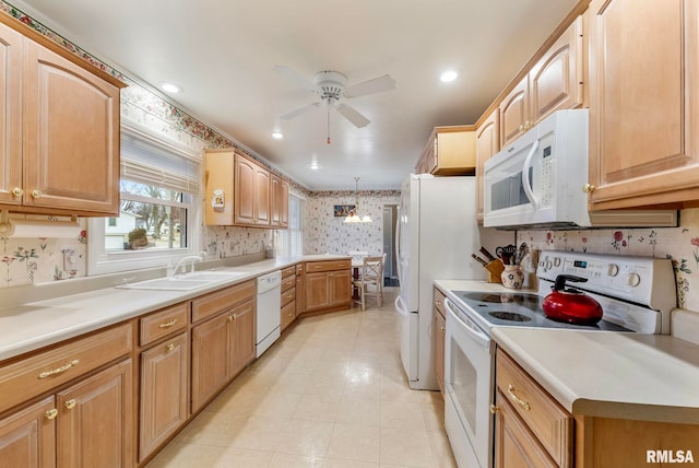 kitchen featuring a sink, wallpapered walls, white appliances, light countertops, and ceiling fan