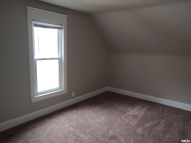 additional living space with lofted ceiling, a healthy amount of sunlight, and carpet floors