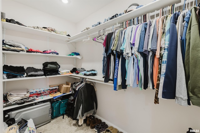1621 S Eugene Ln, Marion, IL 62959 - view of walk in closet