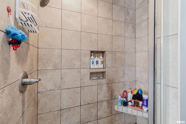 1621 S Eugene Ln, Marion, IL 62959 - interior details with tiled shower