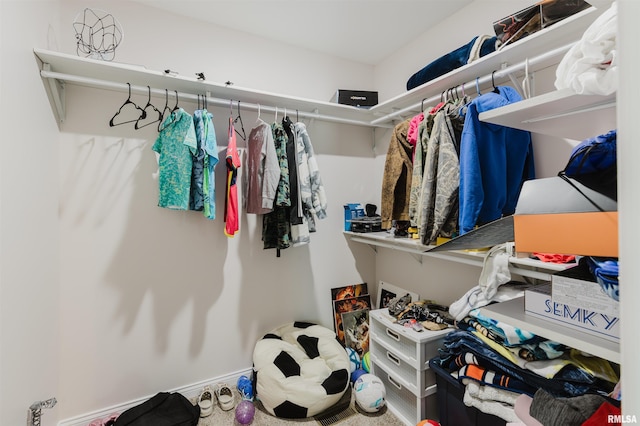 1621 S Eugene Ln, Marion, IL 62959 - view of spacious closet