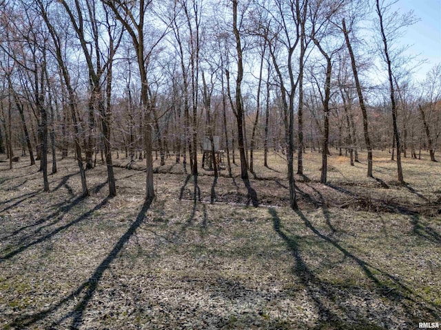 0000 Khoury League Rd, Marion, IL 62959 - photo 17