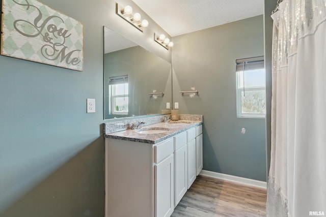 bathroom featuring double vanity, wood finished floors, baseboards, and a sink