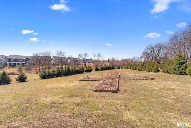 view of yard featuring a garden