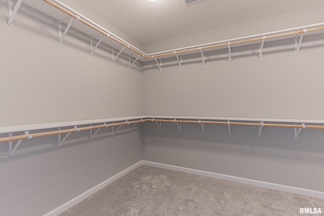 walk in closet with carpet floors