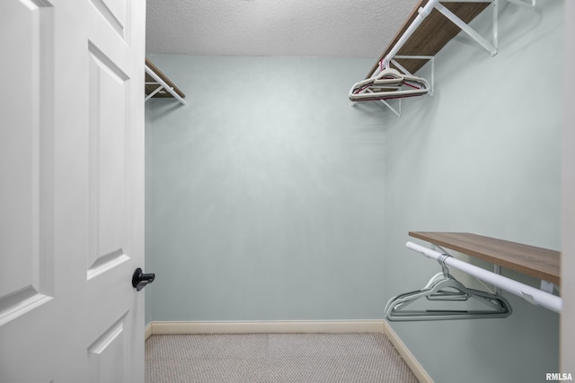 spacious closet with carpet