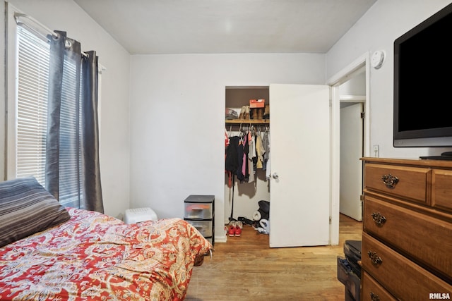 bedroom with a closet, multiple windows, light wood-style floors, and a spacious closet