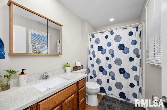 bathroom featuring toilet, vanity, and a shower with curtain