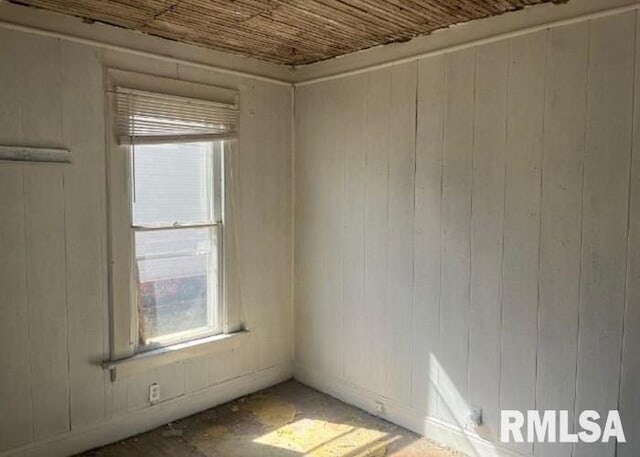 448 N 3rd Ave, Canton, IL 61520 - spare room featuring plenty of natural light and wood walls