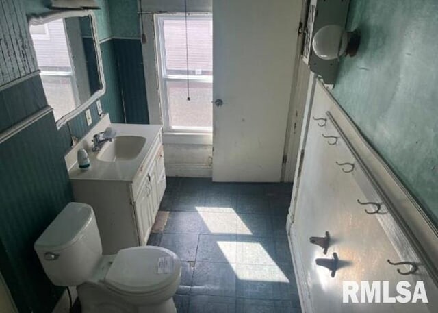 448 N 3rd Ave, Canton, IL 61520 - bathroom with plenty of natural light and vanity