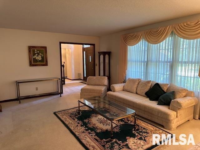 living room featuring light colored carpet