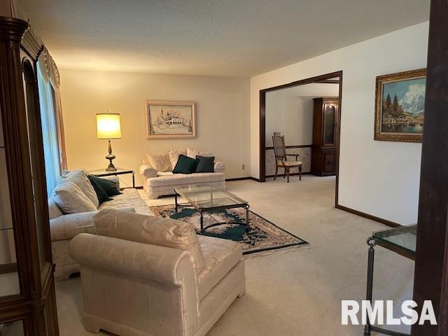 living area featuring baseboards and carpet