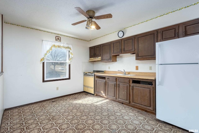 kitchen with a sink, under cabinet range hood, white appliances, light countertops, and ceiling fan