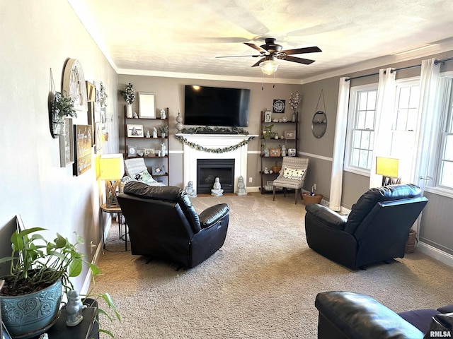 carpeted living area with a ceiling fan, a textured ceiling, a fireplace, crown molding, and baseboards