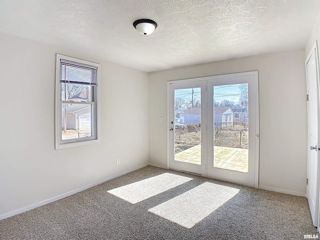 empty room with a wealth of natural light, carpet flooring, and a textured ceiling