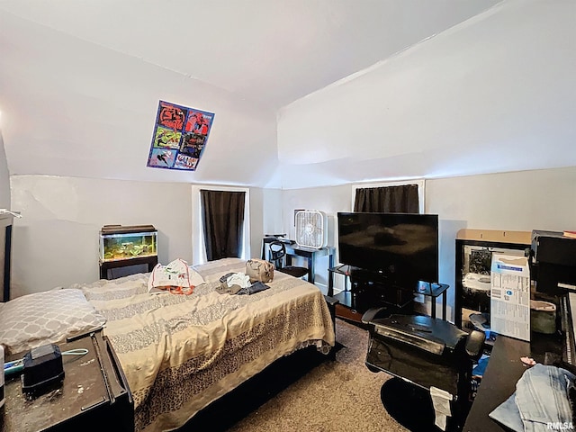 bedroom featuring vaulted ceiling