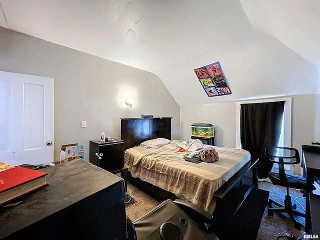 bedroom with lofted ceiling