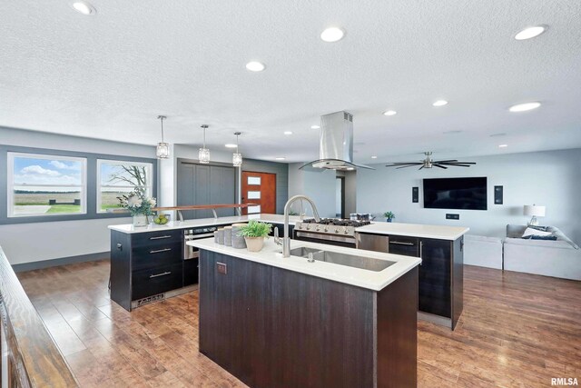 kitchen with a sink, open floor plan, a textured ceiling, a center island with sink, and island exhaust hood