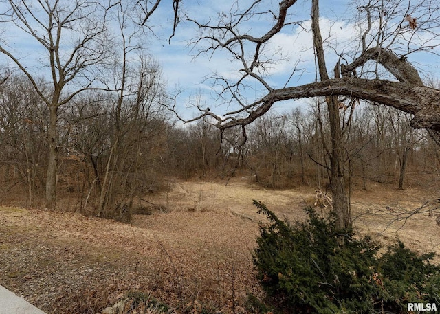 9721 234th St N, Port Byron, IL 61275 - view of woods