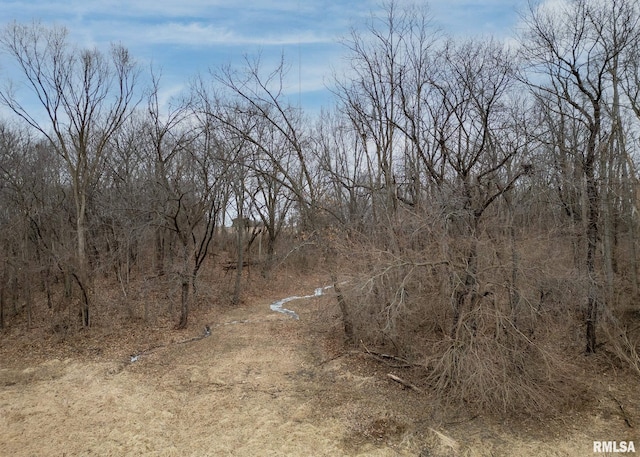 9721 234th St N, Port Byron, IL 61275 - view of nature