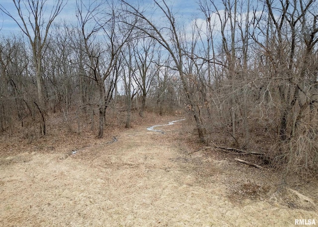 view of local wilderness