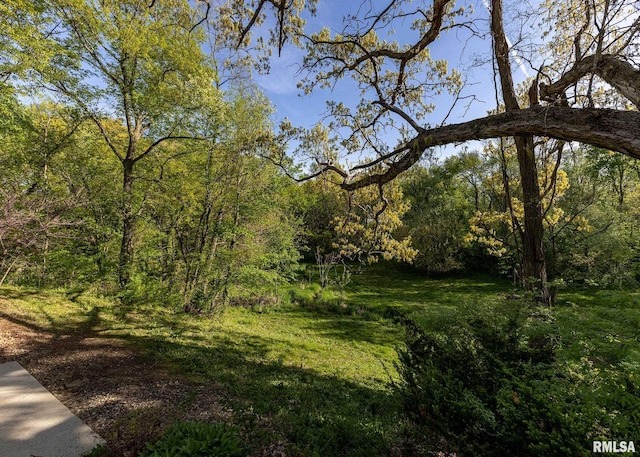 9721 234th St N, Port Byron, IL 61275 - view of tree filled area