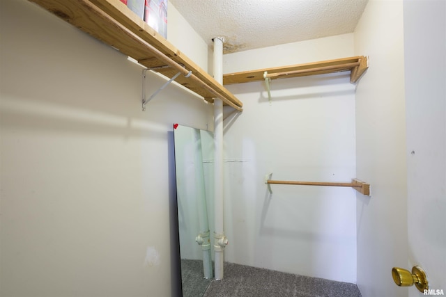 spacious closet featuring carpet flooring