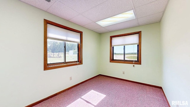 empty room with baseboards, plenty of natural light, and carpet