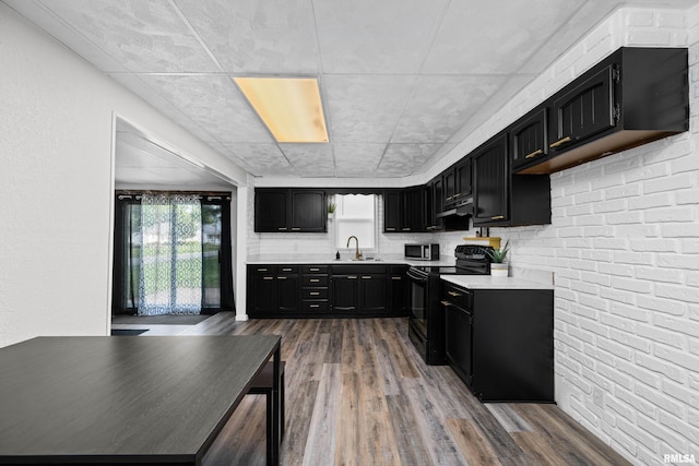 kitchen featuring dark cabinetry, black electric range oven, and a sink