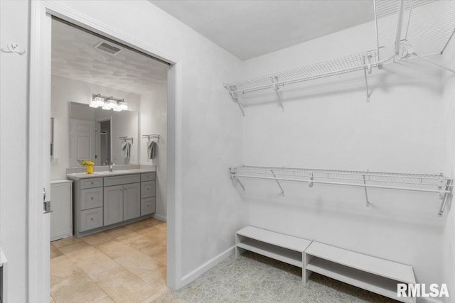 19109 Bluff Rd Unit D, Geneseo, IL 61254 - spacious closet with a sink
