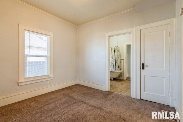 4227 11th St, Rock Island, IL 61201 - spare room featuring ornamental molding, carpet, and baseboards