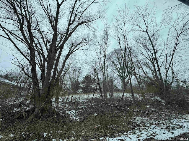603 Vaux St, Zeigler, IL 62999