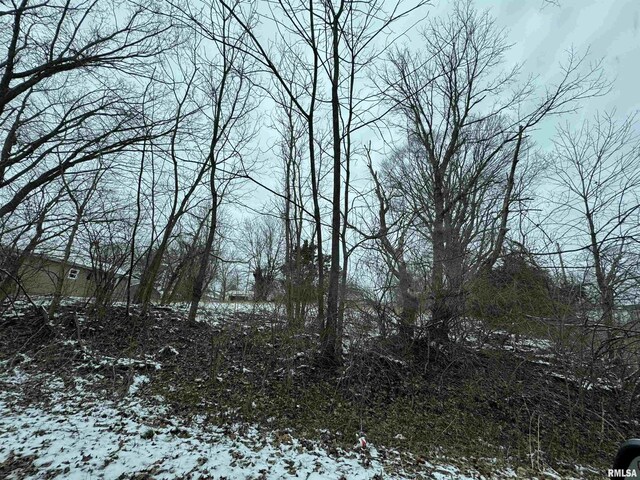 603 Vaux St, Zeigler, IL 62999