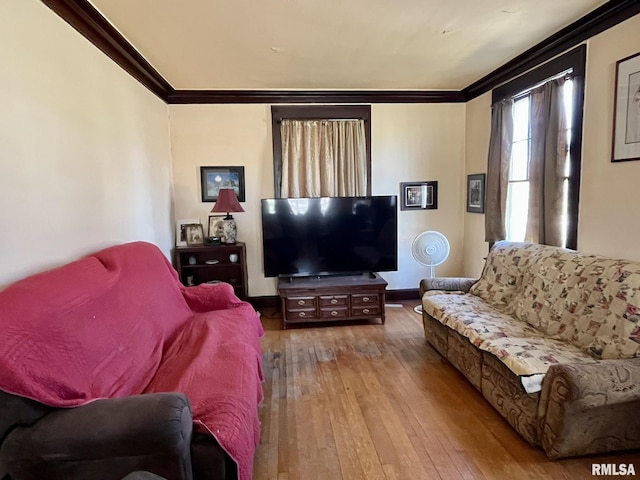 100 S Franklin St, Clayton, IL 62324 - living room with baseboards, ornamental molding, and hardwood / wood-style flooring