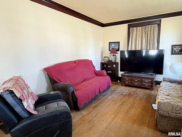 100 S Franklin St, Clayton, IL 62324 - living room with hardwood / wood-style floors and crown molding