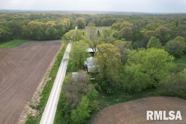 bird's eye view of a forest