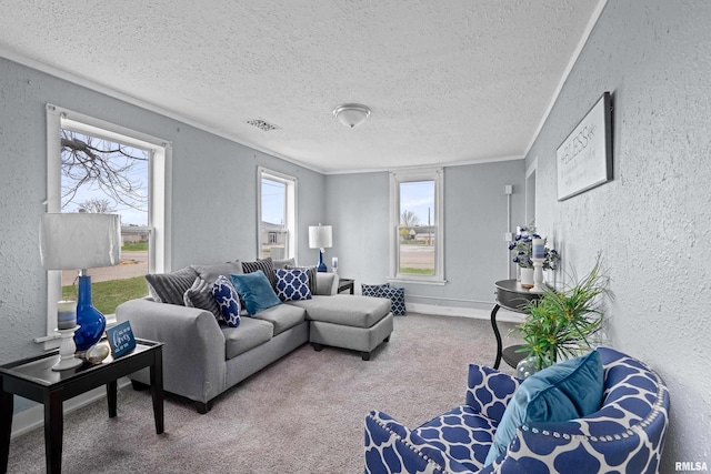 carpeted living area featuring a textured ceiling, a textured wall, and baseboards