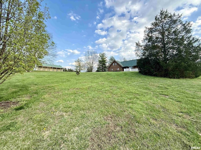 5453 Cherokee Ln, Carbondale, IL 62901 - view of yard